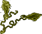 Pisces - piscium