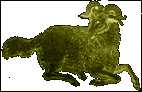 Aries - arietis