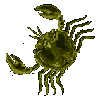 Cancer - cancri