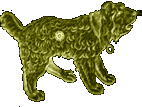 Canis minor - canis minoris