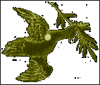 Columba - columbae