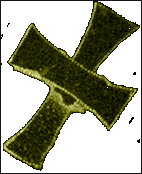 Crux - crucis