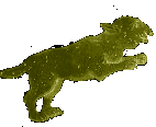 Lynx - lincis