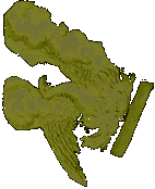 Phoenix - phoenicis