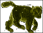 Ursa major - ursae majoris