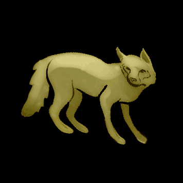 Vulpecula - vulpeculae